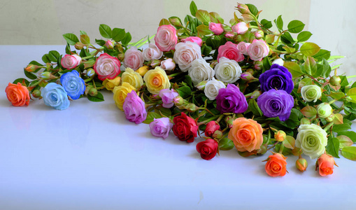 缤纷的玫瑰花朵照片