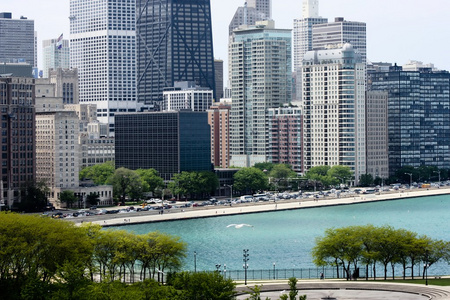 芝加哥城市景观图片
