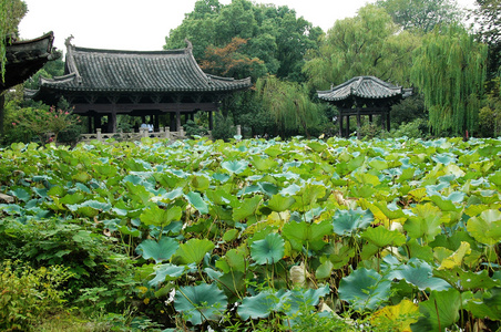 中国有池塘的古房子照片