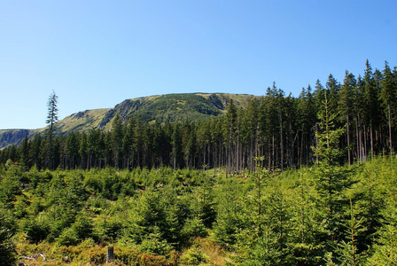 山，山岳 山脉 一大堆 大量