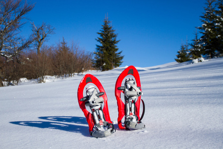 雪鞋雪鞋跑图片