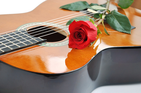 吉他和玫瑰。