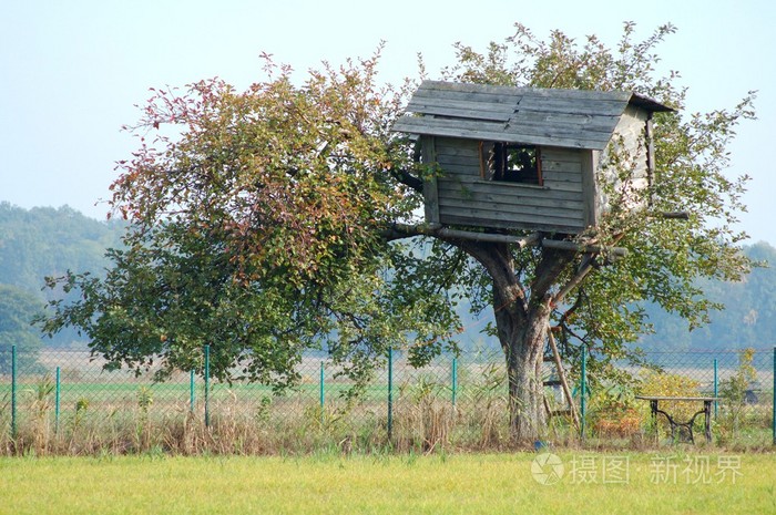 树上小屋，巢屋