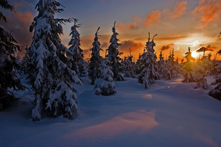 雪景中的日落图片