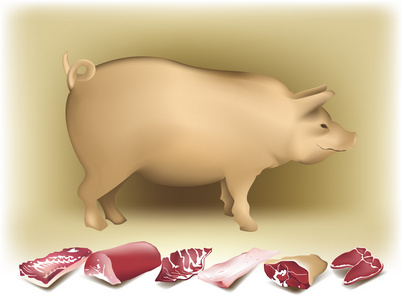 猪 猪肉 令人不快或讨厌的人 金属块锭