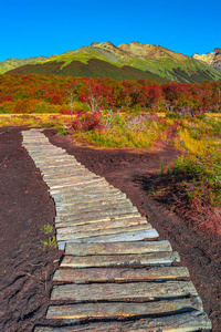 灿烂的巴塔哥尼亚的火地岛国家公园景色