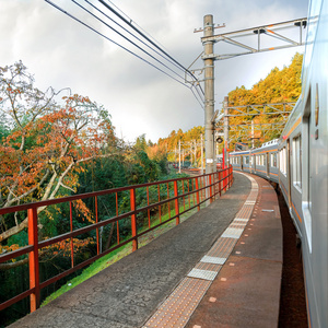 火车到高野 san 高野山 在日本和歌山县