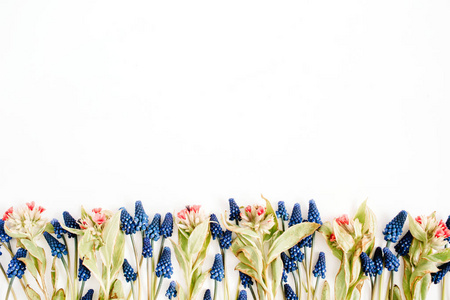 穆斯美丽的蓝色卡里花和野花