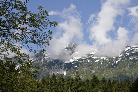 春天在高山