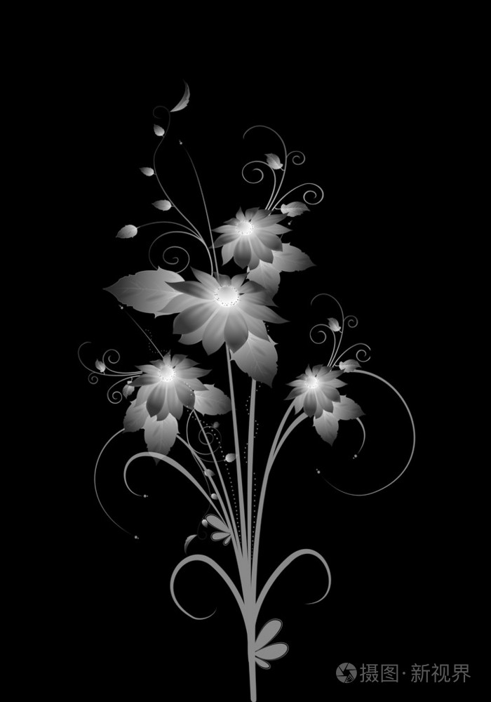 黑色背景上的白花