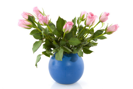 蓝色花瓶里的粉玫瑰