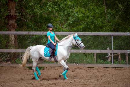 女车手训练马在骑马课程在夏季的一天