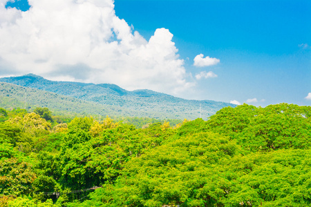 绿色山和天空