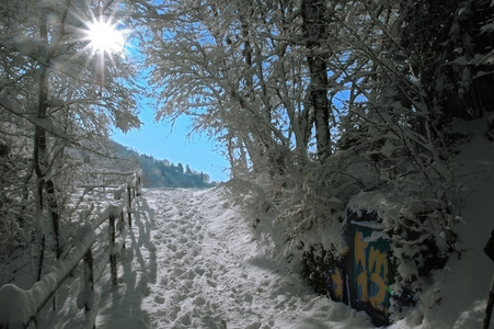 雪地里的小径