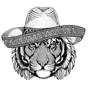 野生老虎野生动物 戴着草帽墨西哥福特嘉年华墨西哥方图狂野的西部