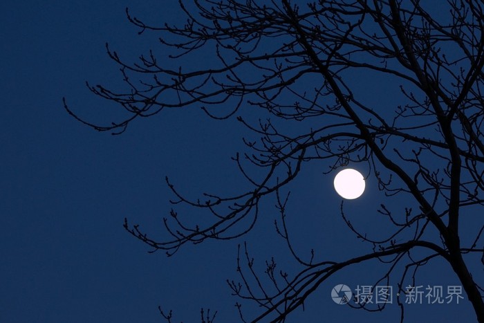 *1935px无水印下载免费10次/天下载小样发票合同问题/举报天空月亮