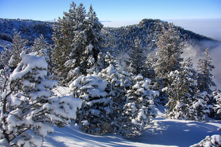 冬季雪景