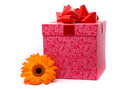 橙色格伯花和礼品盒
