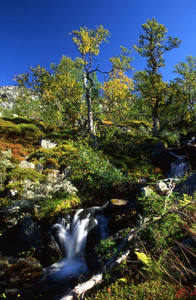 山涧，山区河流 山溪