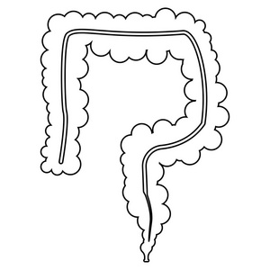 小肠的黑颜色图标照片