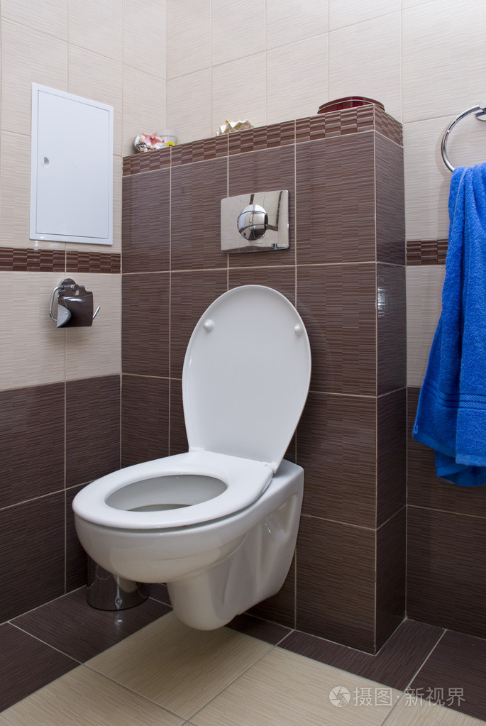 家里的厕所照片-正版商用图片00qv8m-摄图新视界