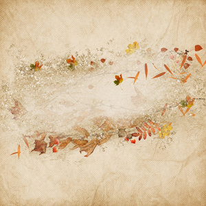 秋天的落叶和橡子边框框架图片