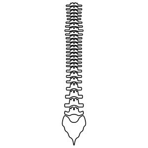 人体脊柱的黑颜色图标