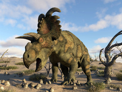 Albertaceratops 恐龙在沙漠3d 渲染