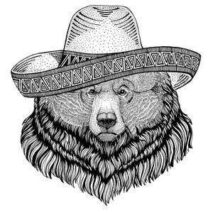 大野熊野生动物 戴着草帽墨西哥福特嘉年华墨西哥灰熊熊方图狂野的西部