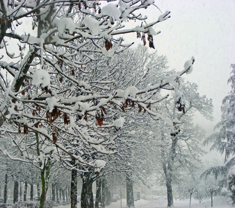 雪，雪花 积雪 雪季