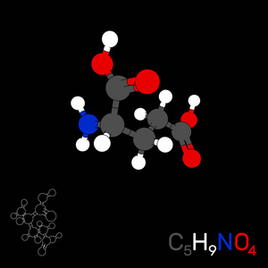 谷氨酸模型分子。黑色背景上的孤立。Vect