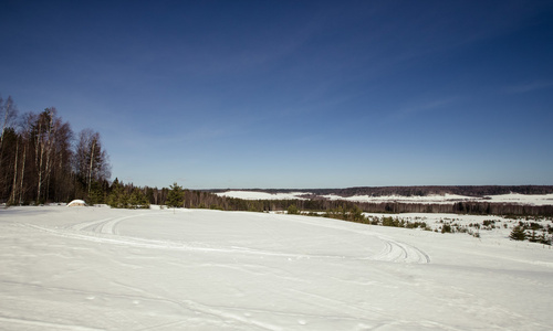 雪覆盖的田间附近森林和蓝天。冬天。定了调子
