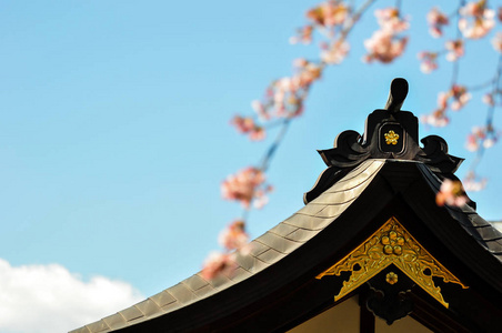 日本寺庙顶部樱花花在蓝天背景下的模糊前景