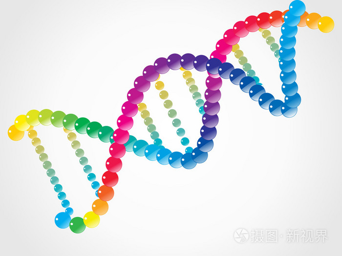 白色DNA螺旋分离