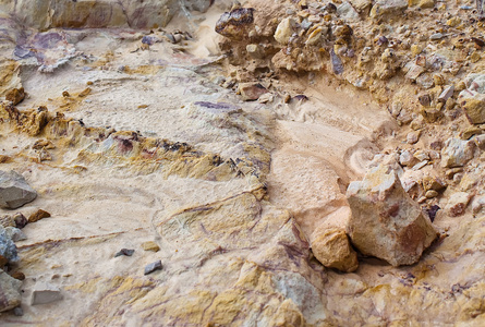 土壤的形成图片