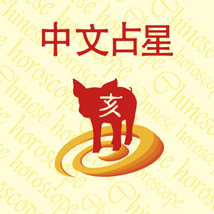 中国占星术。 猪。