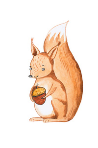 可爱的松鼠举行橡子的手绘制的肖像