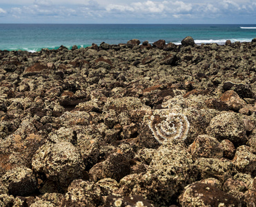 波伊普在考艾岛附近的 Heiau Hoouluia