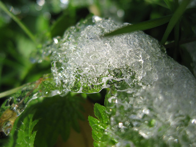 比萨罕见降雪后的冰形