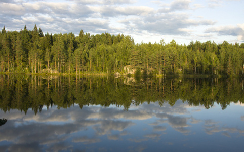 夏日傍晚的森林湖图片