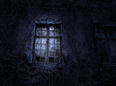 诡异的诡异的窗口照片