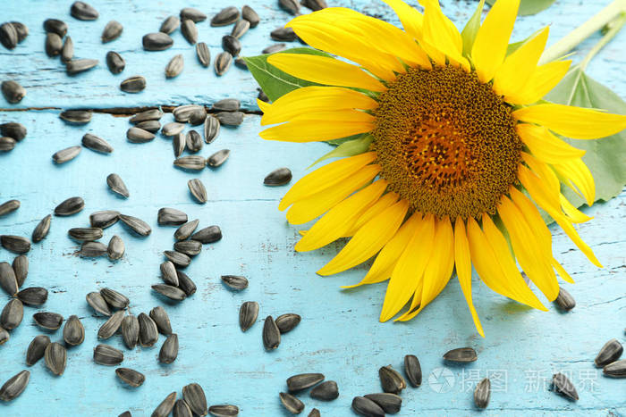 向日葵种子在桌子上