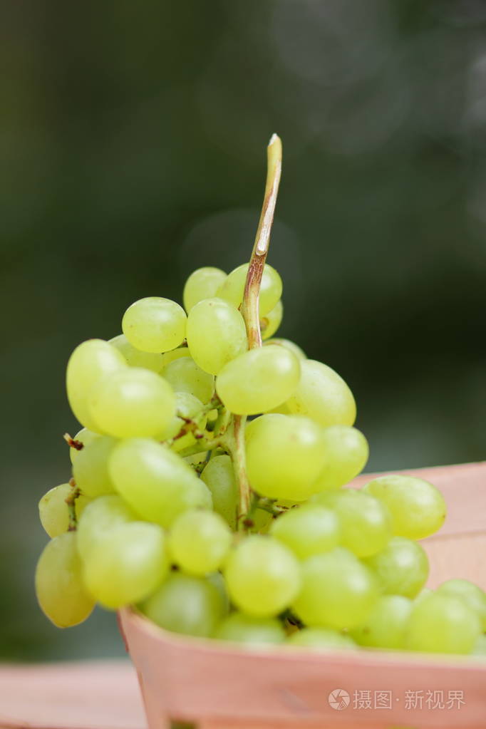 为设计师准备的木篮子里的一串绿色葡萄