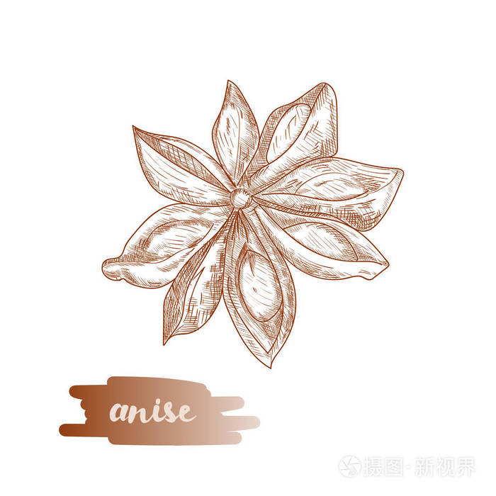 八角星形矢量图插画-正版商用图片00shvs-摄图新视界