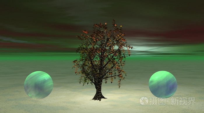 绿色的树和球