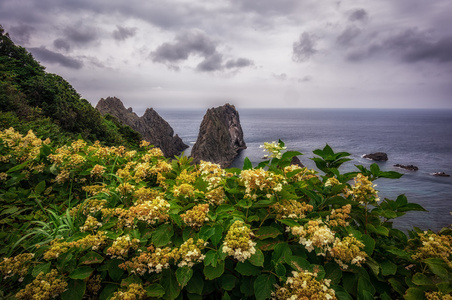 积丹海岸角图片