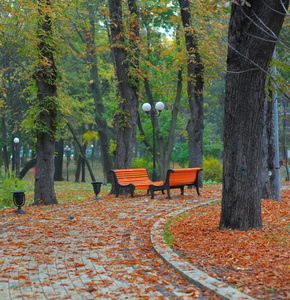 城市公园的长椅