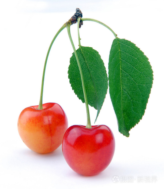 甜樱桃照片-正版商用图片00t1qr-摄图新视界