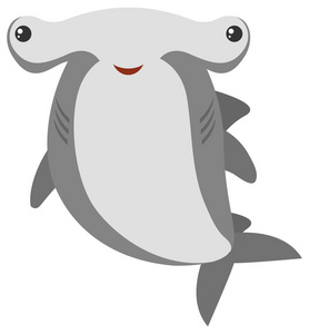 锤头鲨与幸福的脸