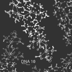 未来的DNA每股收益10